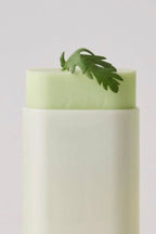 Beauty of Joseon Matte Sun Stick Mugwort + Camelia SPF50+